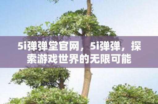 5i弹弹堂官网，5i弹弹，探索游戏世界的无限可能