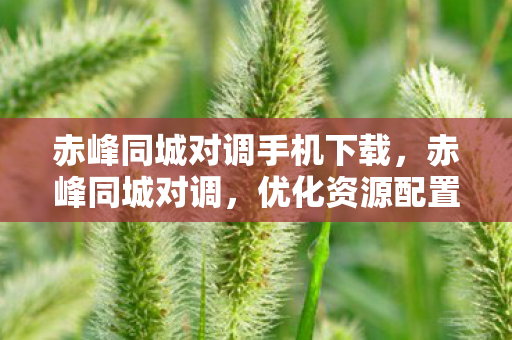 赤峰同城对调手机下载，赤峰同城对调，优化资源配置，促进城市均衡发展