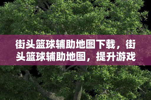 街头篮球辅助地图下载，街头篮球辅助地图，提升游戏乐趣的实用工具
