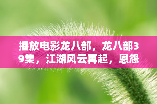 播放电影龙八部，龙八部39集，江湖风云再起，恩怨情仇难断