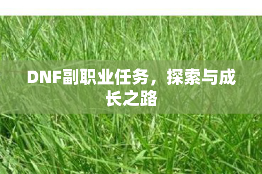 DNF副职业任务，探索与成长之路