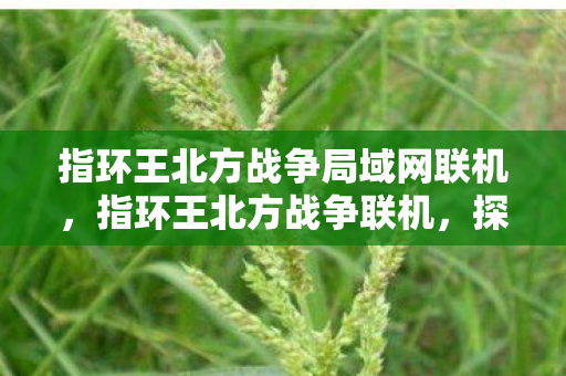 指环王北方战争局域网联机，指环王北方战争联机，探索虚拟世界的无尽战斗