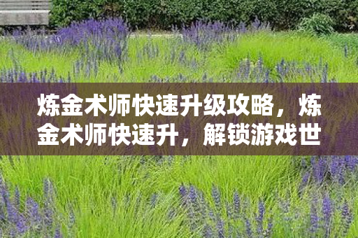 炼金术师快速升级攻略，炼金术师快速升，解锁游戏世界的奥秘
