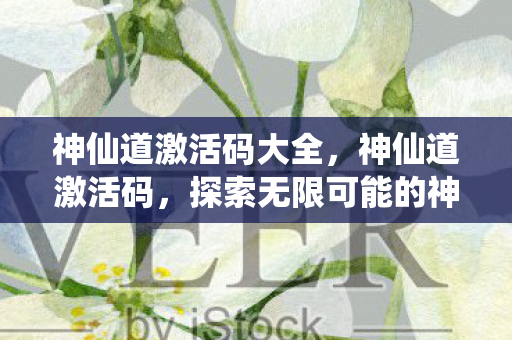 神仙道激活码大全，神仙道激活码，探索无限可能的神秘钥匙
