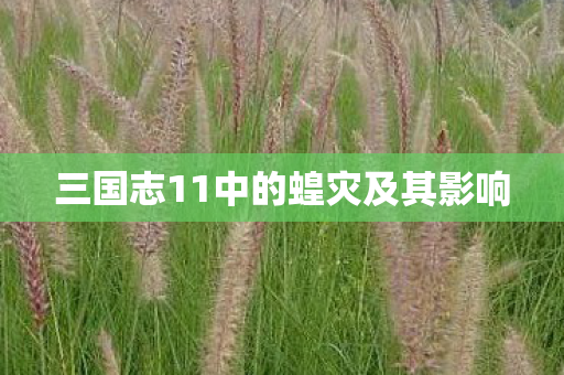 三国志11中的蝗灾及其影响