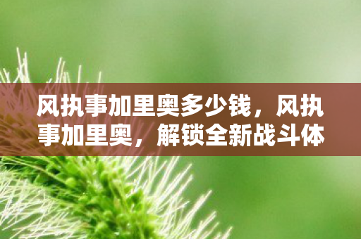 风执事加里奥多少钱，风执事加里奥，解锁全新战斗体验