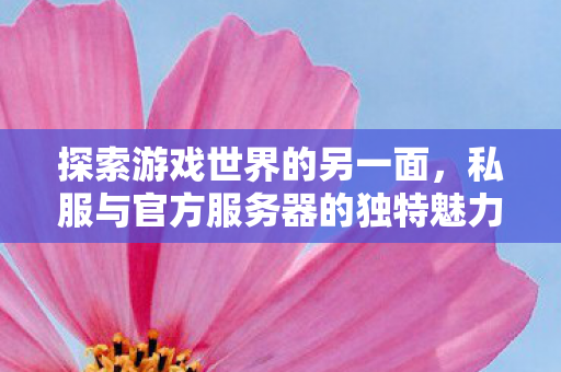 探索游戏世界的另一面，私服与官方服务器的独特魅力