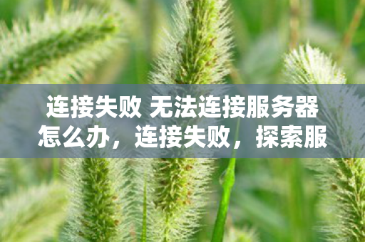 连接失败 无法连接服务器怎么办，连接失败，探索服务器连接问题的背后