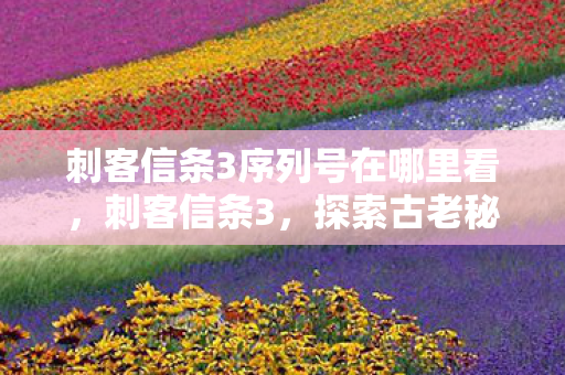 刺客信条3序列号在哪里看，刺客信条3，探索古老秘密的钥匙