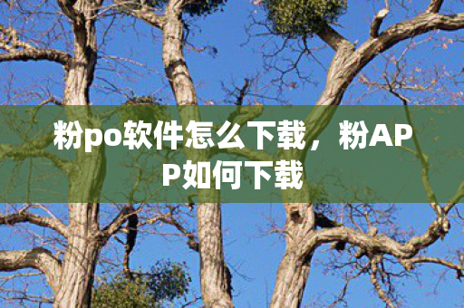 粉po软件怎么下载，粉APP如何下载
