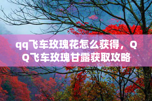 qq飞车玫瑰花怎么获得，QQ飞车玫瑰甘露获取攻略