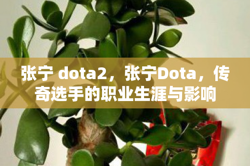 张宁 dota2，张宁Dota，传奇选手的职业生涯与影响