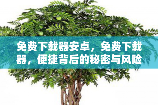 免费下载器安卓，免费下载器，便捷背后的秘密与风险