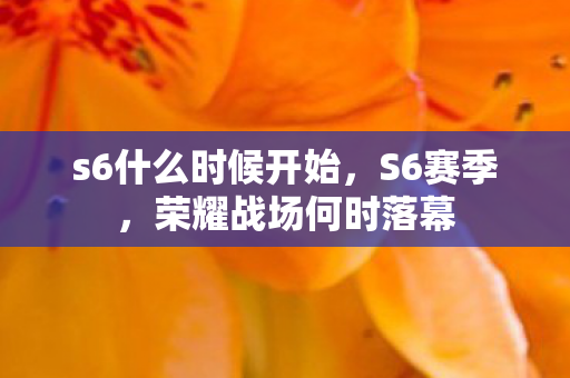 s6什么时候开始，S6赛季，荣耀战场何时落幕