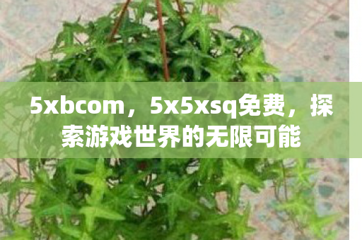 5xbcom，5x5xsq免费，探索游戏世界的无限可能