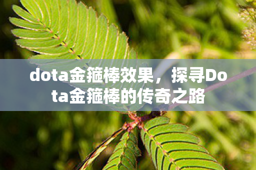 dota金箍棒效果，探寻Dota金箍棒的传奇之路