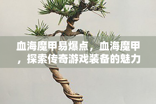 血海魔甲易爆点，血海魔甲，探索传奇游戏装备的魅力与传奇故事
