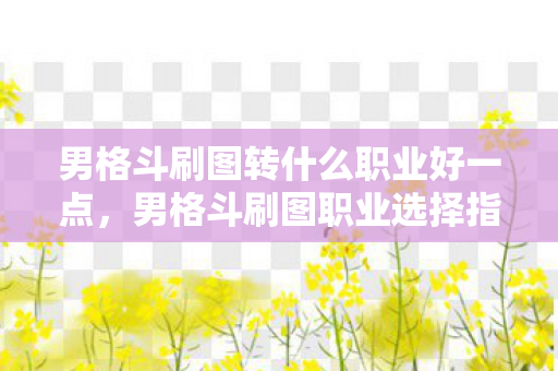 男格斗刷图转什么职业好一点，男格斗刷图职业选择指南