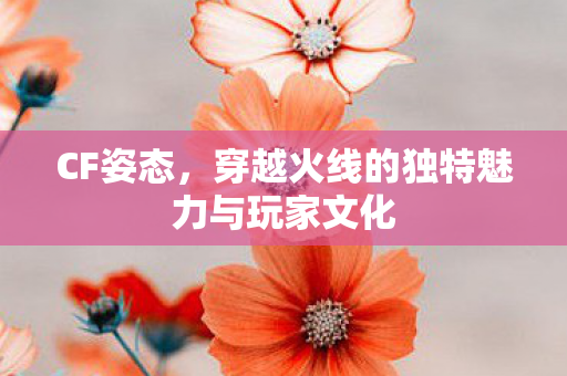 CF姿态，穿越火线的独特魅力与玩家文化