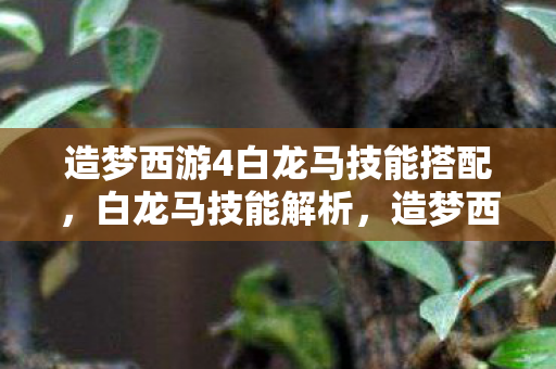 造梦西游4白龙马技能搭配，白龙马技能解析，造梦西游4中的战斗艺术