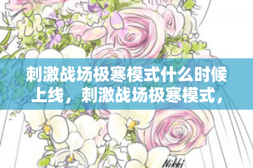 刺激战场极寒模式什么时候上线，刺激战场极寒模式，挑战与生存的双重考验