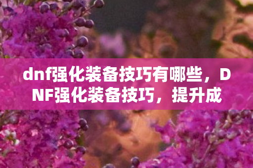 dnf强化装备技巧有哪些,DNF强化装备技巧,提升成功率的实用策略 dnf强化装备技巧有哪些,DNF强化装备技巧,提升成功率的实用策略