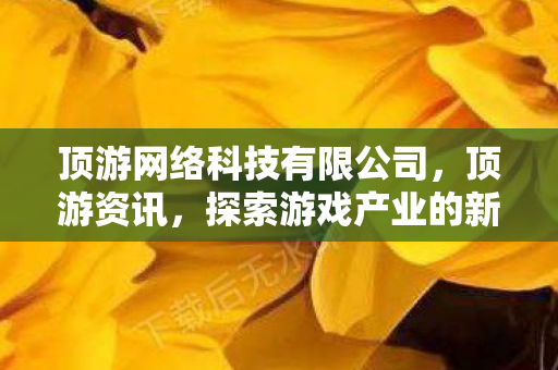顶游网络科技有限公司，顶游资讯，探索游戏产业的新趋势与机遇