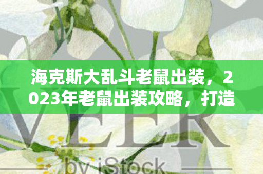 海克斯大乱斗老鼠出装，2023年老鼠出装攻略，打造最强ADC装备组合