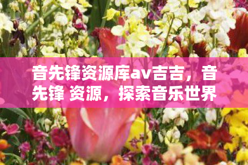 音先锋资源库av吉吉，音先锋 资源，探索音乐世界的无限可能