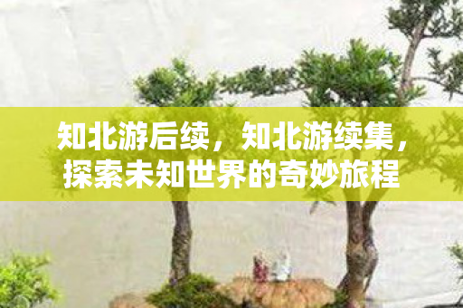 知北游后续，知北游续集，探索未知世界的奇妙旅程
