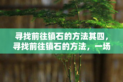 寻找前往镇石的方法其四，寻找前往镇石的方法，一场奇幻之旅的启程