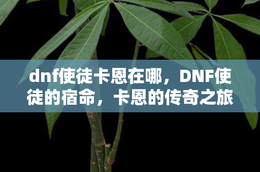 dnf使徒卡恩在哪，DNF使徒的宿命，卡恩的传奇之旅