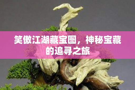 笑傲江湖藏宝图，神秘宝藏的追寻之旅