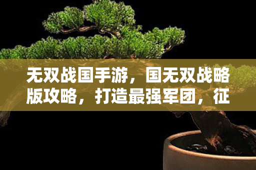 无双战国手游，国无双战略版攻略，打造最强军团，征服天下！