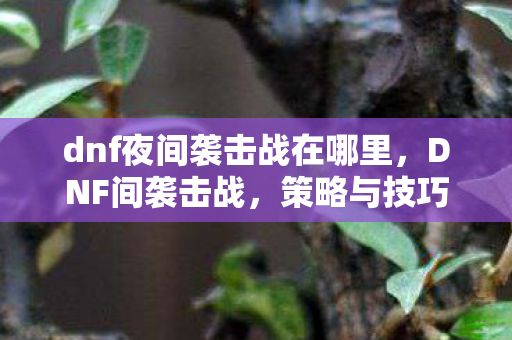 dnf夜间袭击战在哪里，DNF间袭击战，策略与技巧的深度剖析