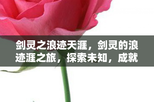 剑灵之浪迹天涯，剑灵的浪迹涯之旅，探索未知，成就传奇