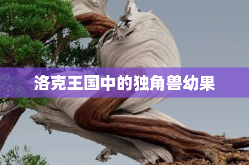 洛克王国中的独角兽幼果