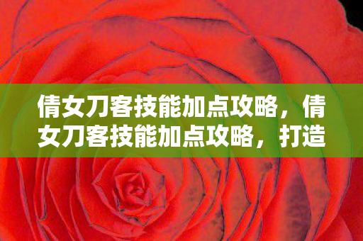 倩女刀客技能加点攻略，倩女刀客技能加点攻略，打造高效战斗力的关键