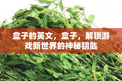 盒子的英文，盒子，解锁游戏新世界的神秘钥匙