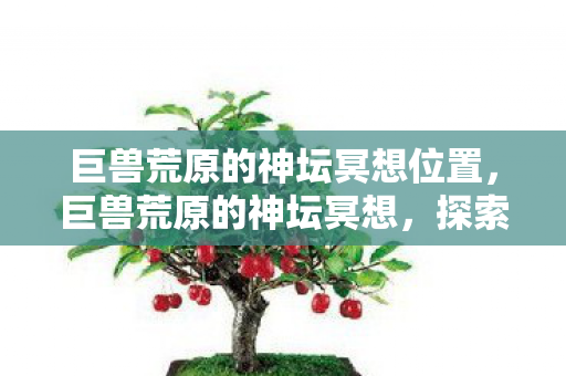 巨兽荒原的神坛冥想位置，巨兽荒原的神坛冥想，探索未知的精神领域