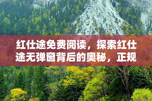 红仕途免费阅读，探索红仕途无弹窗背后的奥秘，正规渠道与用户体验的完美结合
