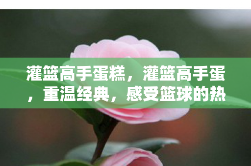 灌篮高手蛋糕，灌篮高手蛋，重温经典，感受篮球的热血与激情