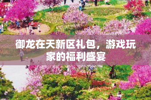 御龙在天新区礼包，游戏玩家的福利盛宴