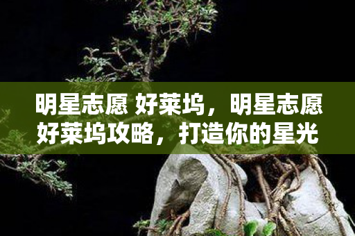 明星志愿 好莱坞，明星志愿好莱坞攻略，打造你的星光之路