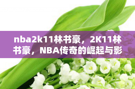 nba2k11林书豪，2K11林书豪，NBA传奇的崛起与影响