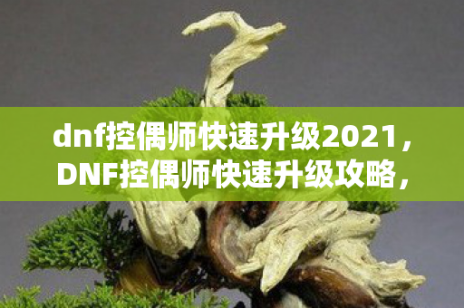 dnf控偶师快速升级2021，DNF控偶师快速升级攻略，打造高效成长路线
