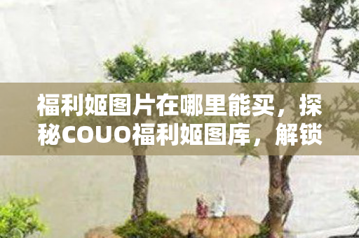 福利姬图片在哪里能买，探秘COUO福利姬图库，解锁隐藏的艺术与娱乐宝藏