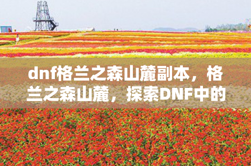 dnf格兰之森山麓副本,格兰之森山麓,探索DNF中的神秘之地 dnf格兰之森山麓副本,格兰之森山麓,探索DNF中的神秘之地