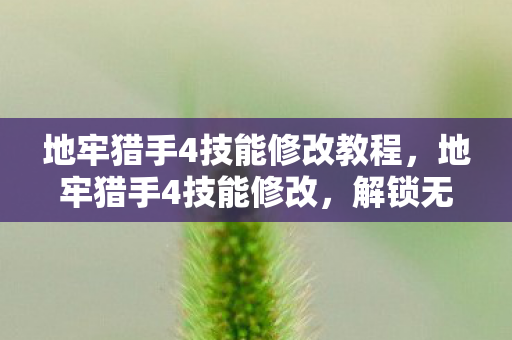 地牢猎手4技能修改教程,地牢猎手4技能修改,解锁无限可能的战斗艺术 地牢猎手4技能修改教程,地牢猎手4技能修改,解锁无限可能的战斗艺术