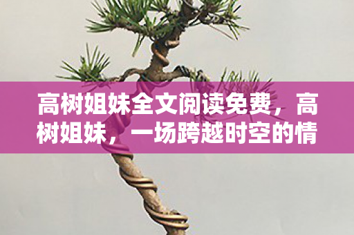 高树姐妹全文阅读免费，高树姐妹，一场跨越时空的情感共鸣